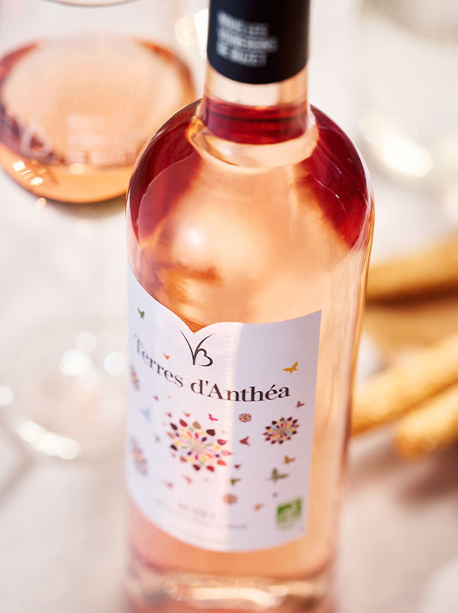 Terres d'Anthea vin rosé AOC Buzet labellisé Bio en bouteille 75cl