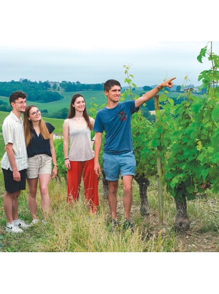 Balade dans les vignes avec un découvreur de pays