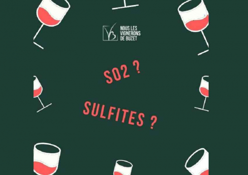 vin-sans-sulfite-AOC-Buzet