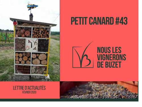 Vignerons-Buzet-newsletter-february-2020