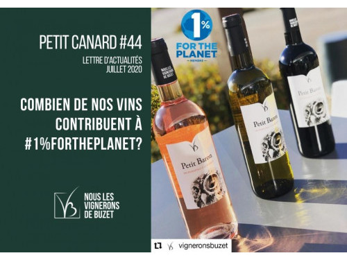 Vignerons-Buzet-Petit-Canard-44-Juillet-2020