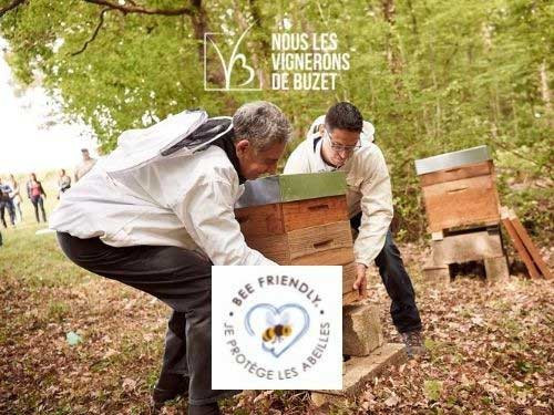 Vignerons-Buzet-bee-friendly-ruches-installation