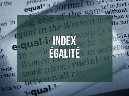 Equality index 