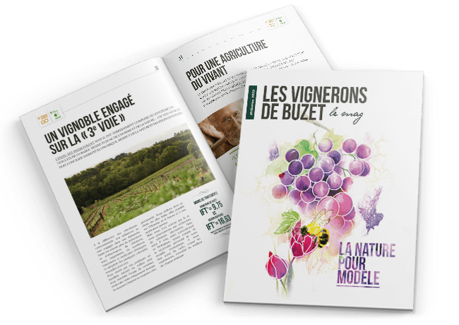 le magazine développement durable 2019 des Vignerons de Buzet